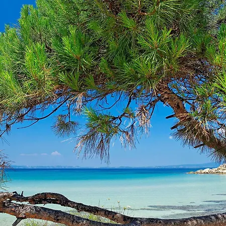 Hotel Ikos Olivia Gerakini