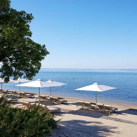 Ikos Olivia 5* Gerakini