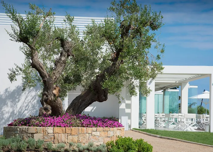 Hotel Ikos Olivia Gerakini