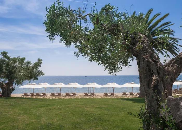 Hotel Ikos Olivia Gerakini