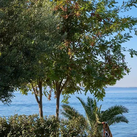 Отель Ikos Olivia