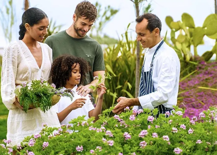 Ikos Olivia Hotell 5*