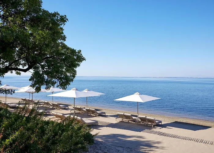 Ikos Olivia 5* Gerakini